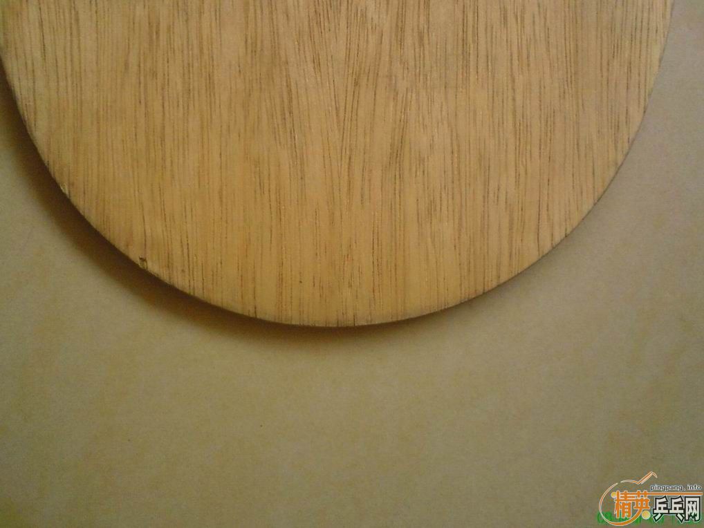 ����֧���