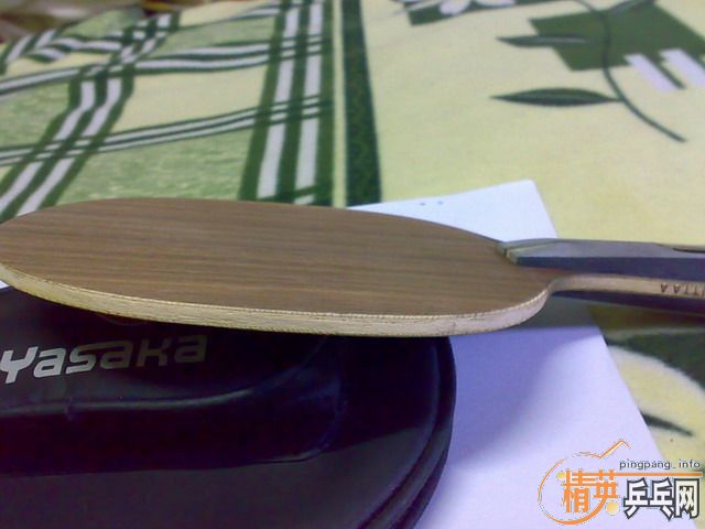 �����¸߳�ɫ����Ʒ���YEO��340����ݡ�