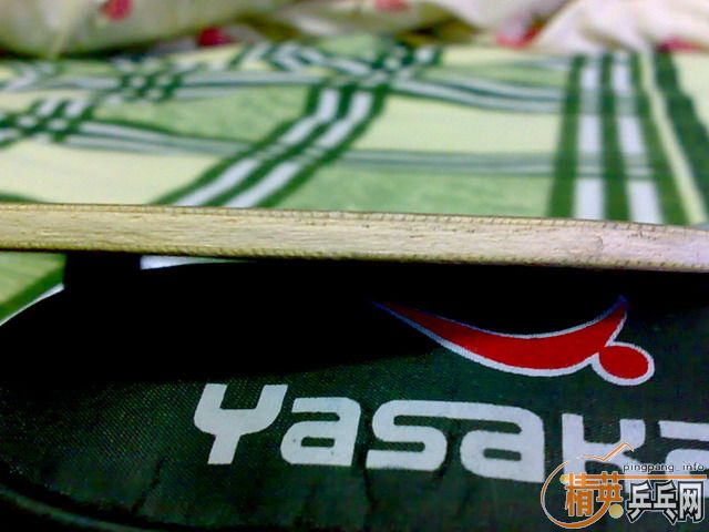 �����¸߳�ɫ����Ʒ���YEO��340����ݡ�