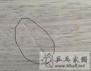 [ԭ��]��Ʒ�л�STIGA������ FL ��������