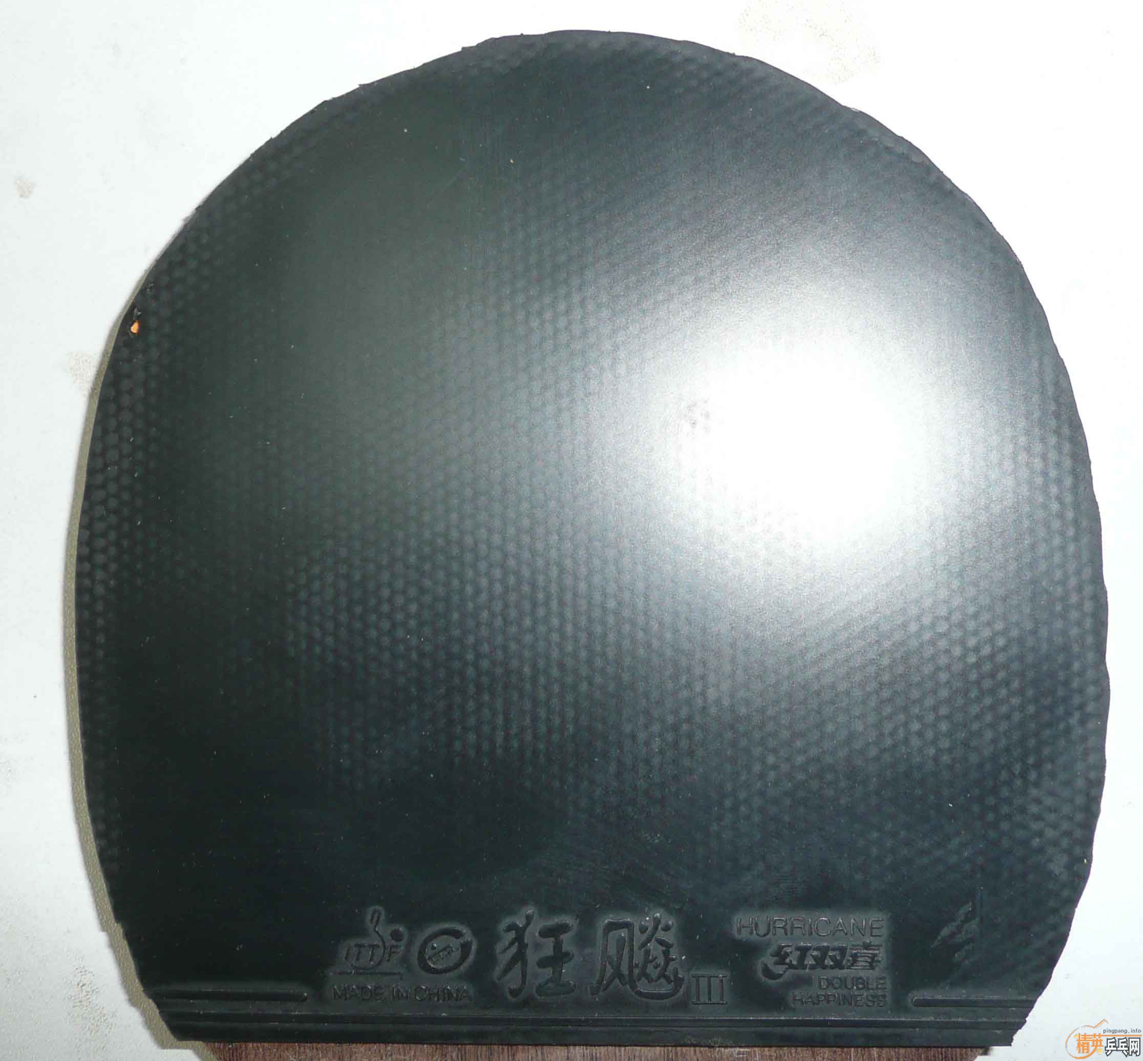 ֱ�ĺ᲻�ɣ�ȫ���������EG��һ���׽���ֱ�ġ���Ķ��У�����