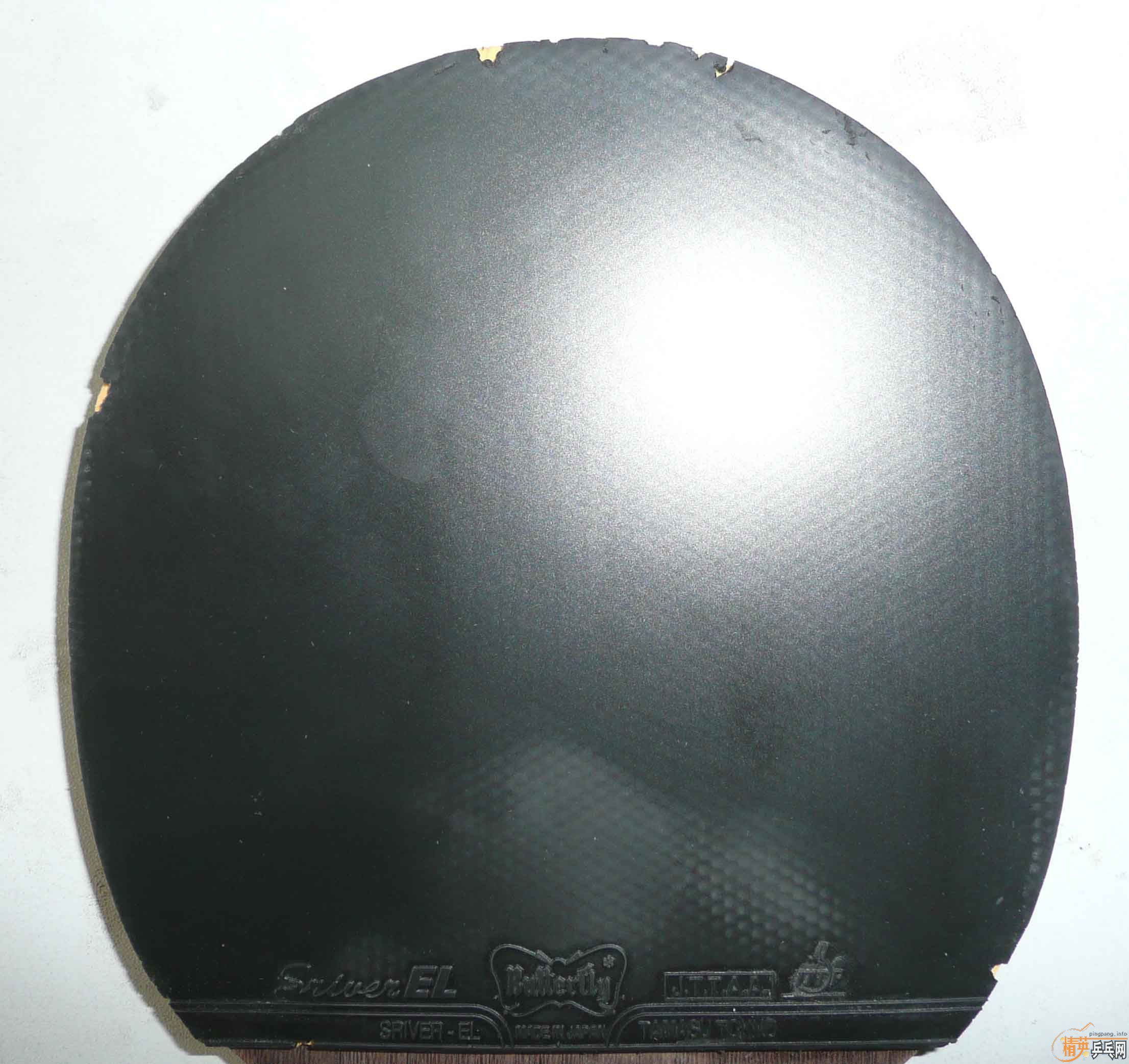 ֱ�ĺ᲻�ɣ�ȫ���������EG��һ���׽���ֱ�ġ���Ķ��У�����