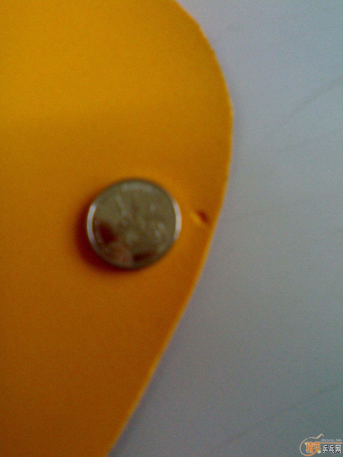 ���� ��ֱ��SRIVER-L max �� nittaku �׸���