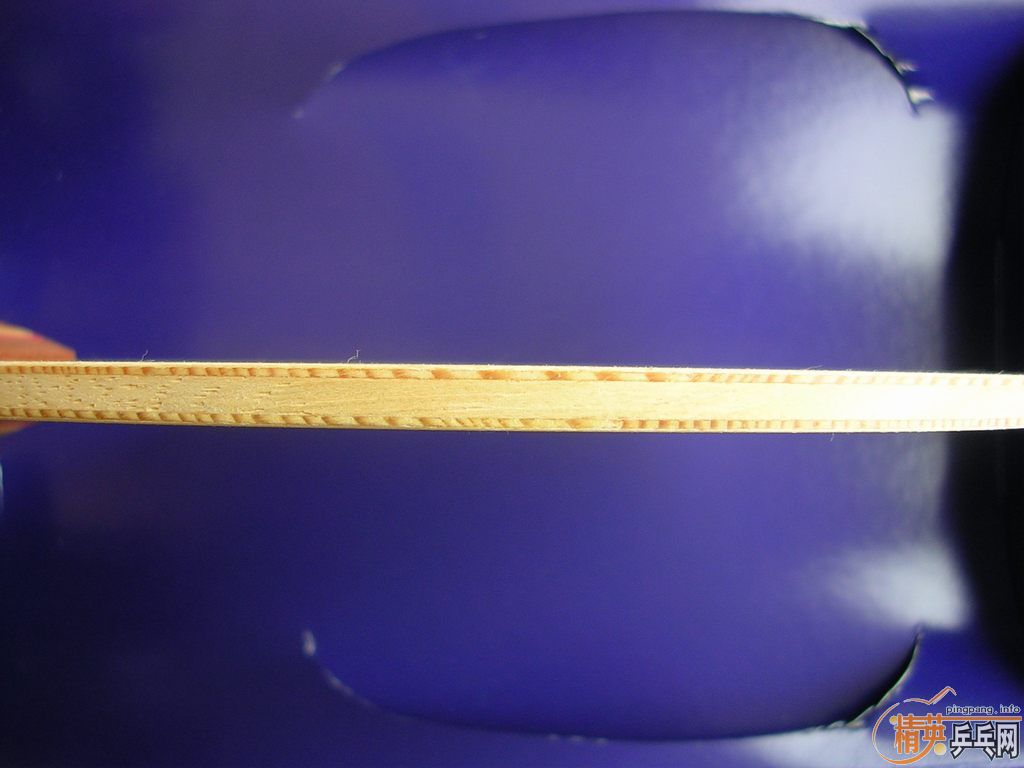 nittaku Runlox5 st��41 2.2 ʡ��3��tsp ����  ���460 �����