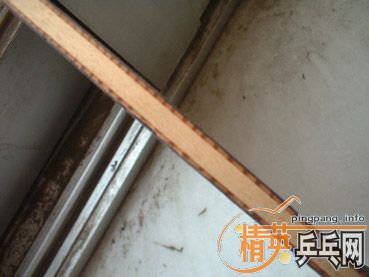 �����������������MC-2+�����׽������100Ԫ