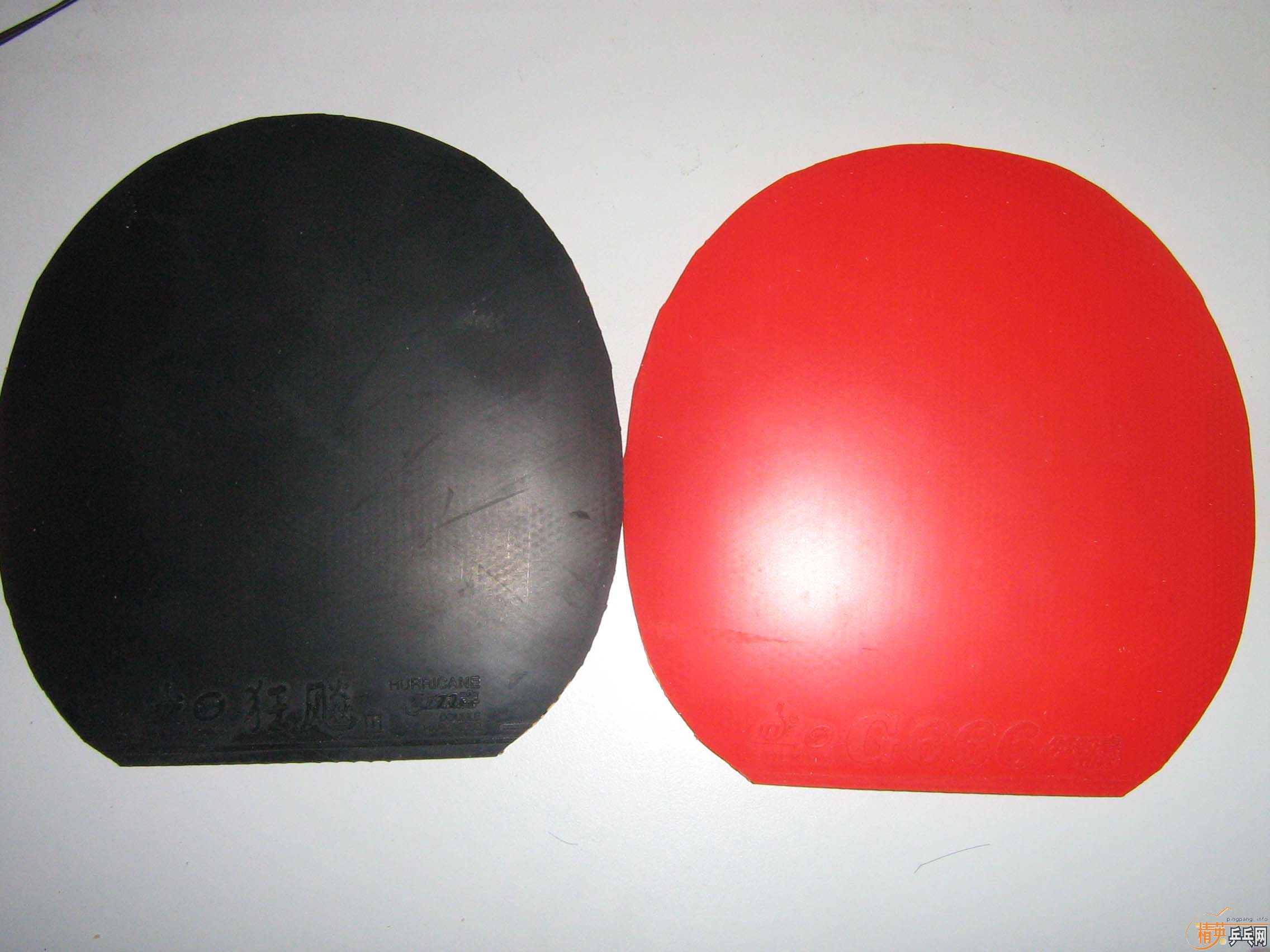 ��������g666��1997ɬ���׽����۸�����