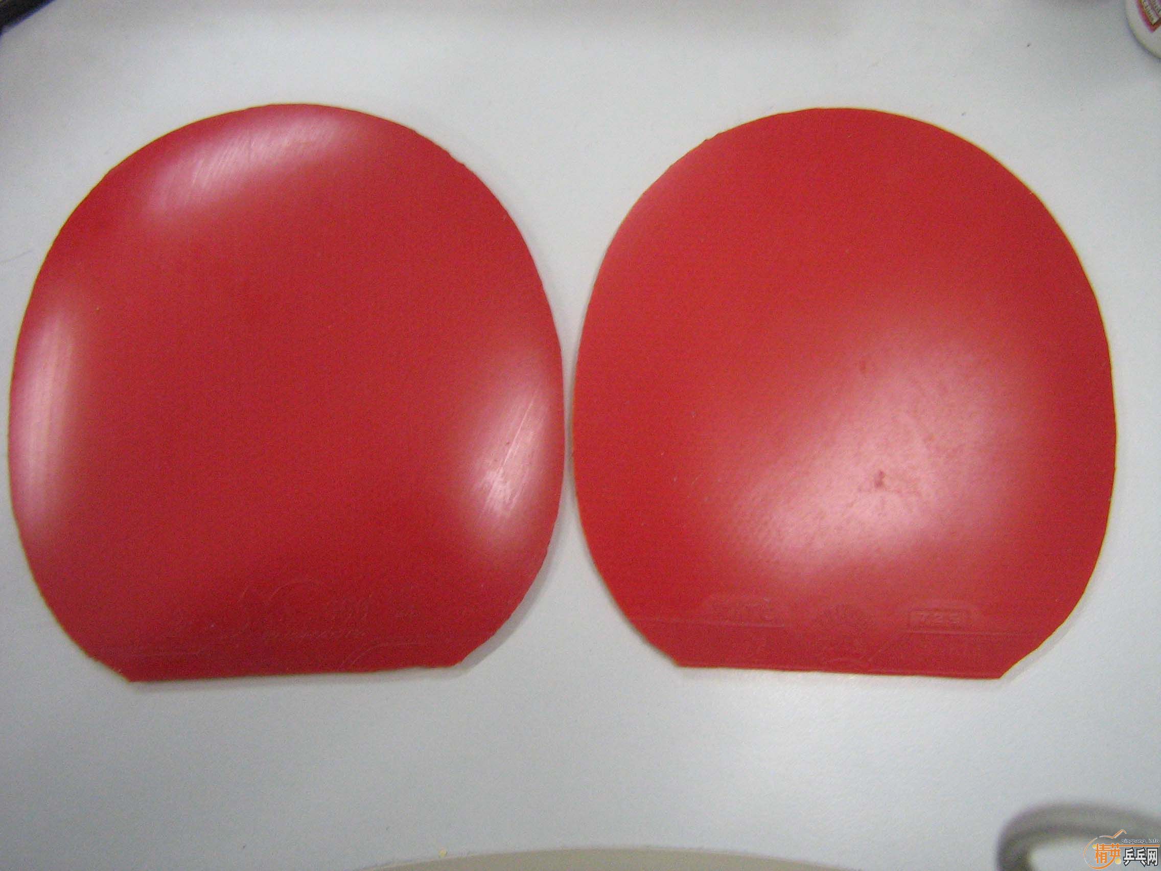 ��������g666��1997ɬ���������׽����۸�����