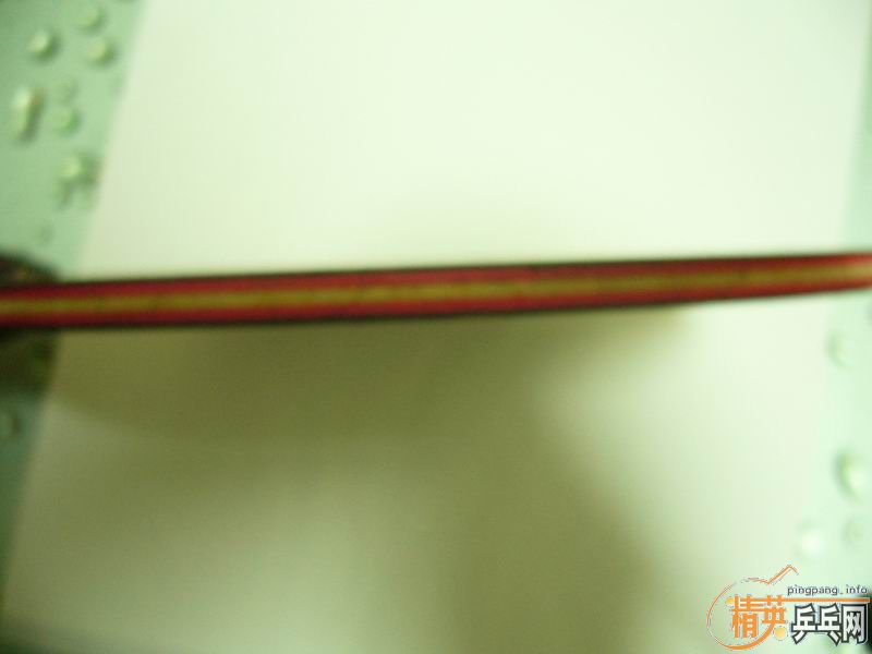 8.5�º��̼��������