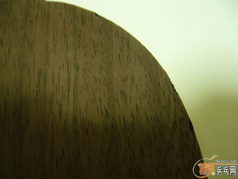 8.5�º��̼��������