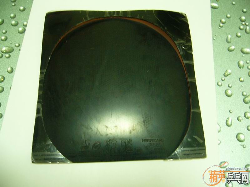 8.5�º��̼��������