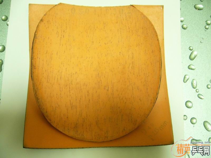 8.5�º��̼��������