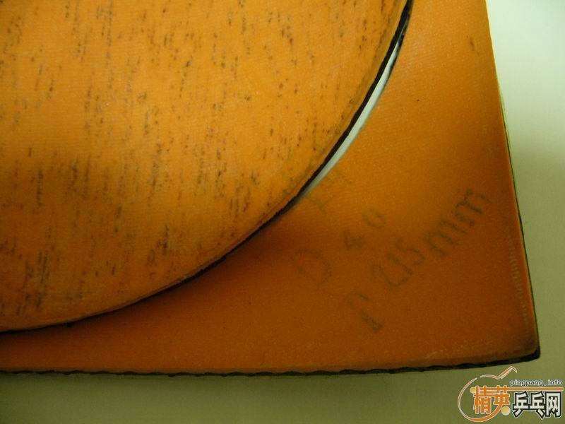 8.5�º��̼��������