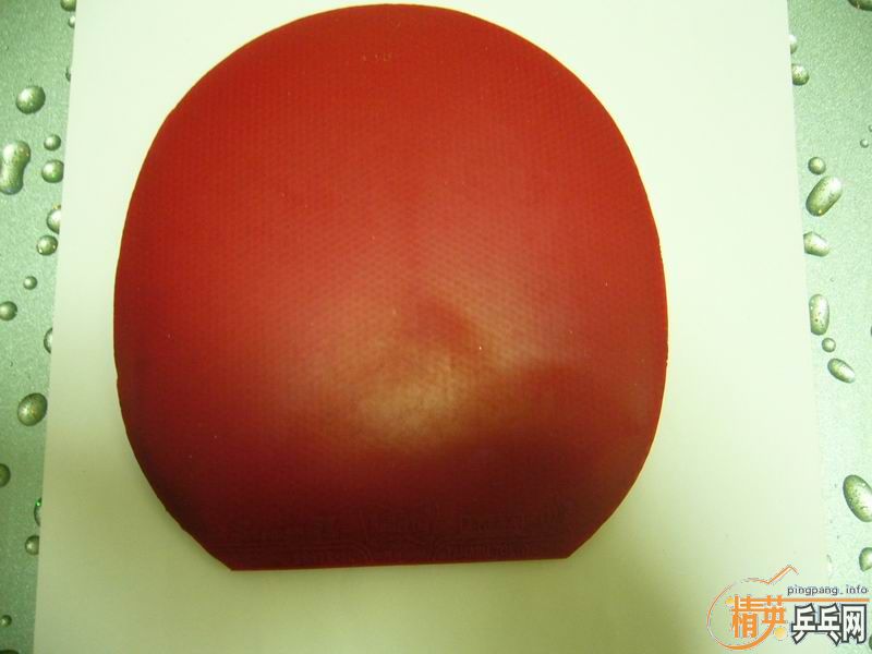 8.5�º��̼��������