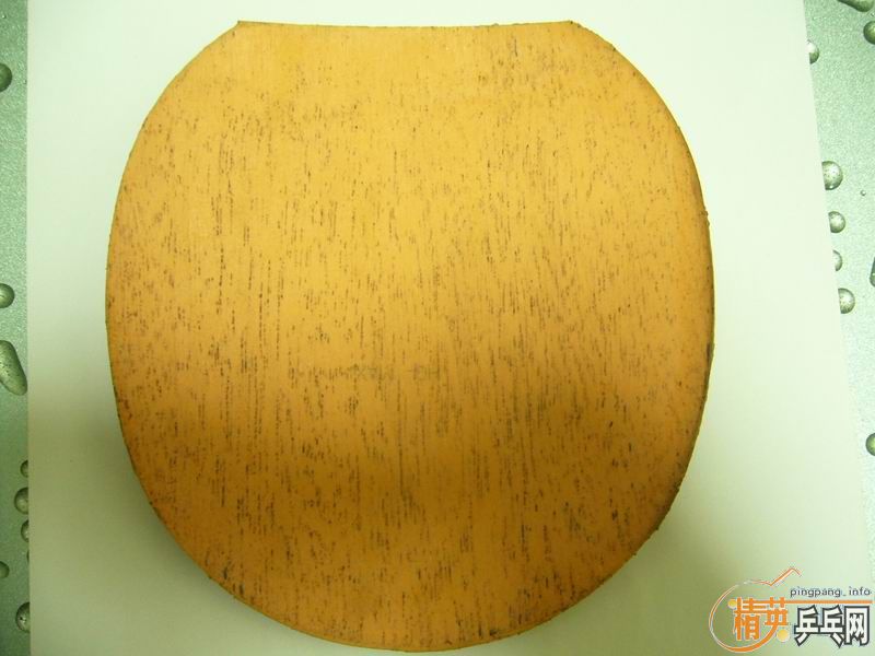 8.5�º��̼��������