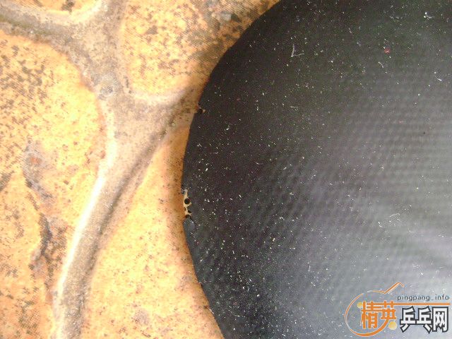 ֱ��F1 40  ��峬��һŵ��60