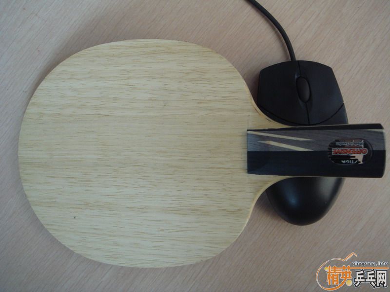 ����˹�ۿ�TO(��ͼ)