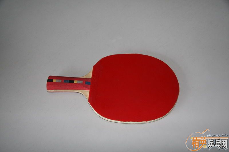 ��һ���ѳ��װ�(DONIC��ľ)