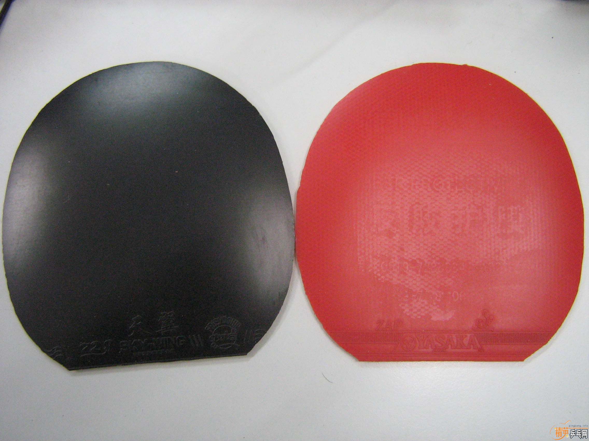 ��������g666��������zap���׽�