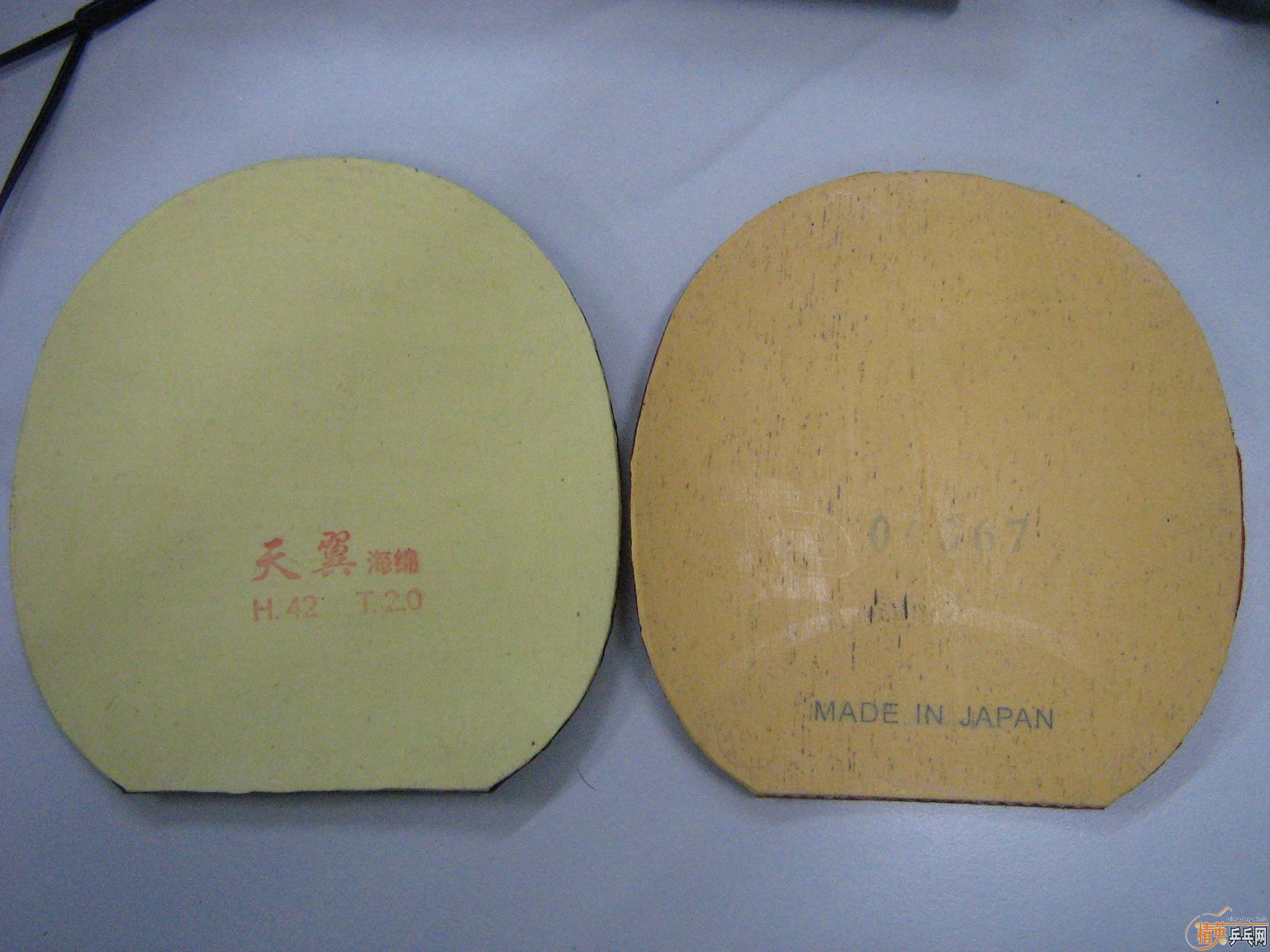 ��������g666��������zap���׽�