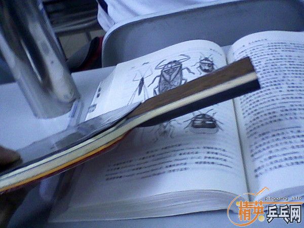 ��˫ϲ ����-2����  ��һ��  ��ϣ����Ұ�æ��лл��