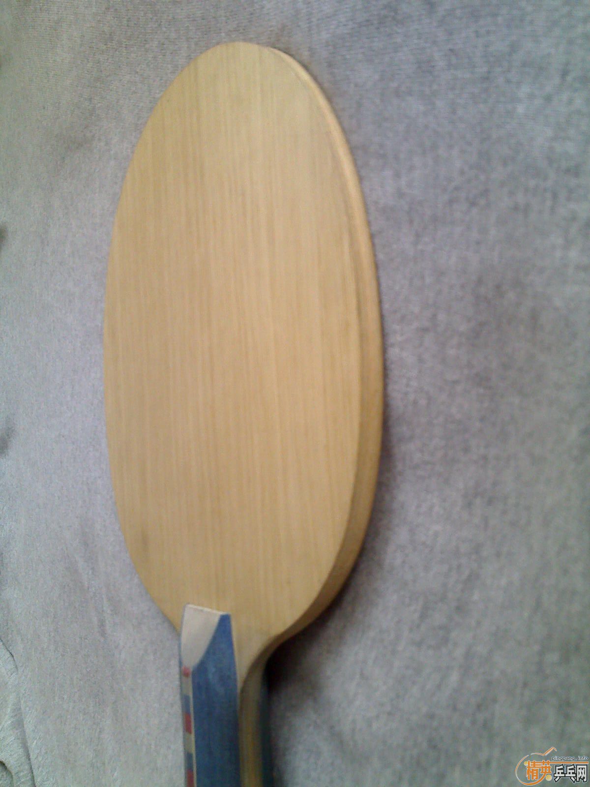 [ԭ��]��һ֧������AVALLO AVX EDGE9.9����,�ͺ�������Ī����̼��8����