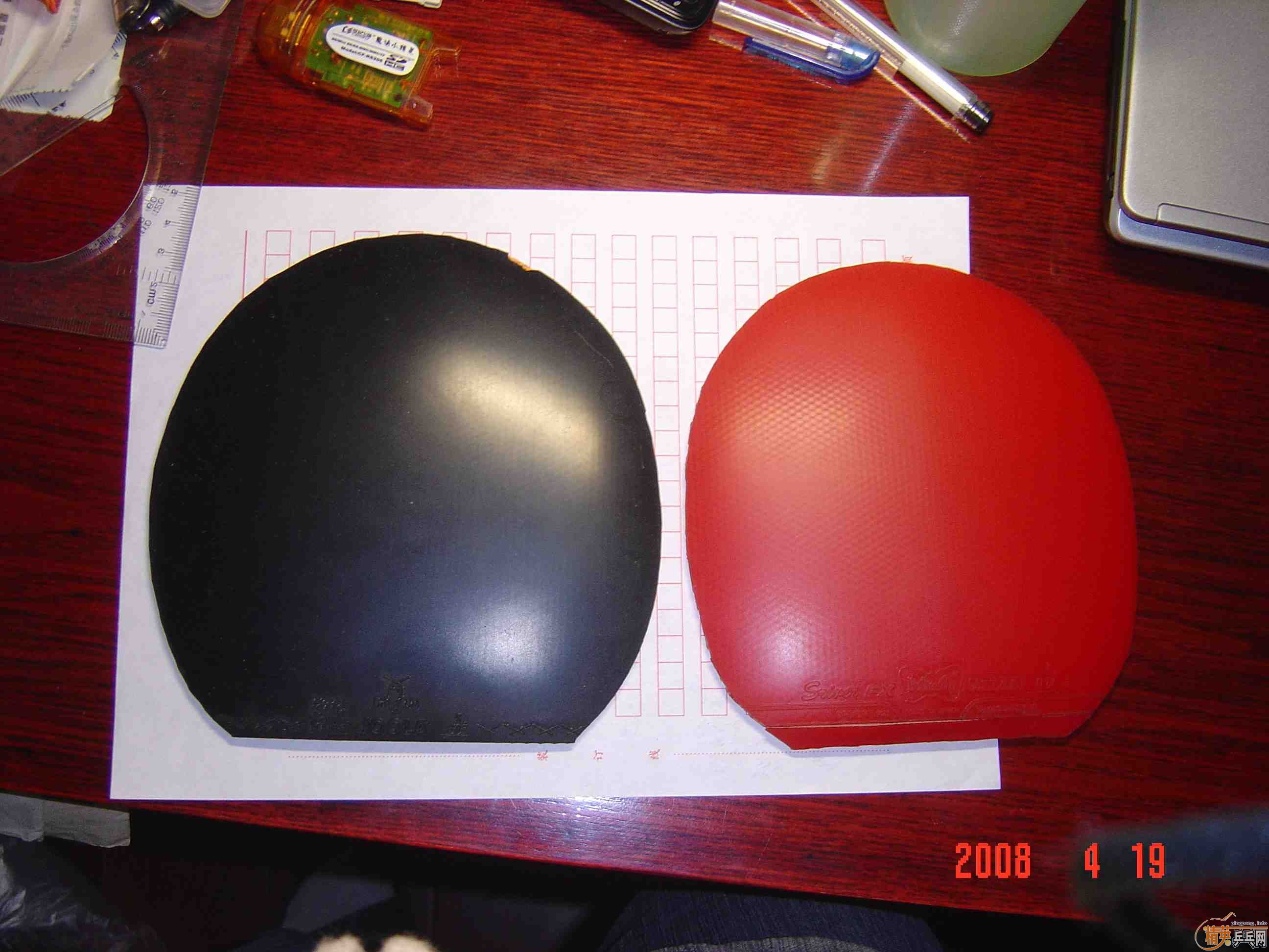 ��������Ƥ ���꣨����֧������