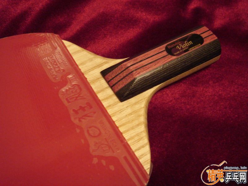 ����Nittaku_С���٣�ֱ�ģ�