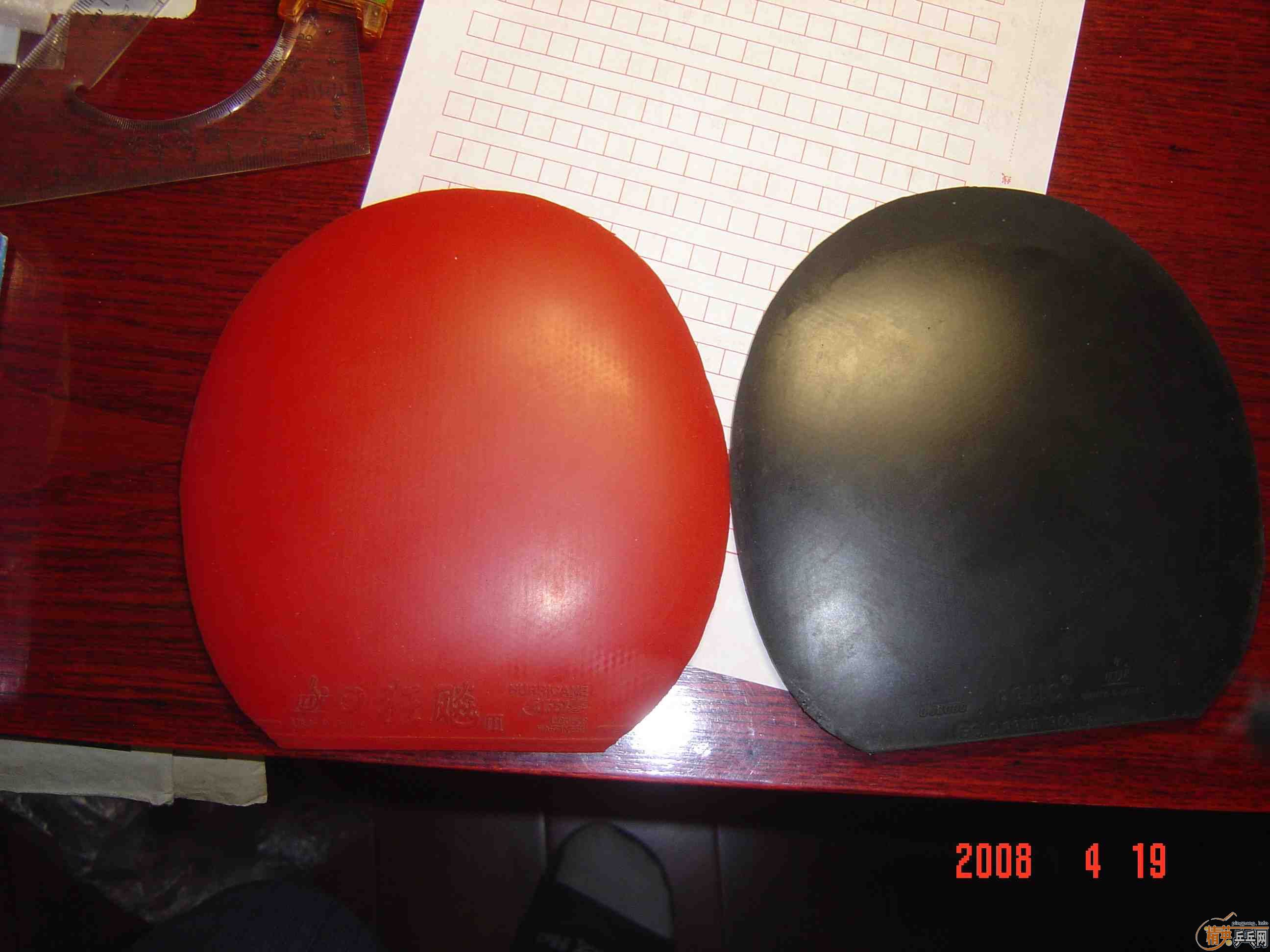 ��������Ƥ ���꣨����֧������