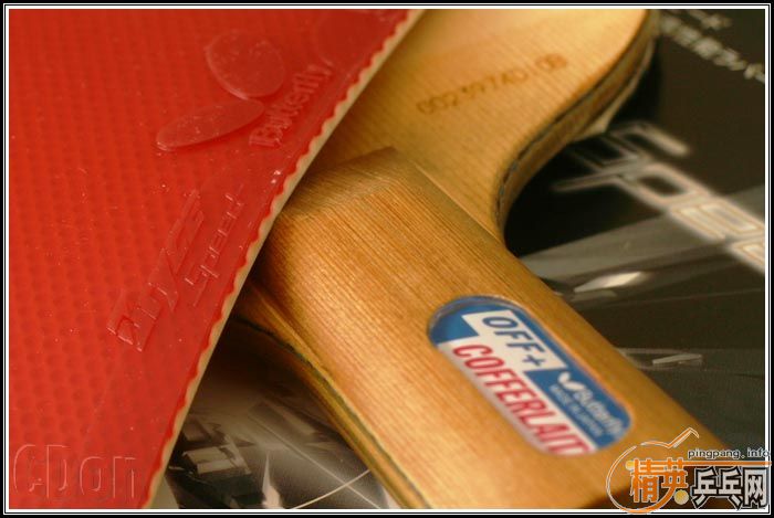 ����������SPEED