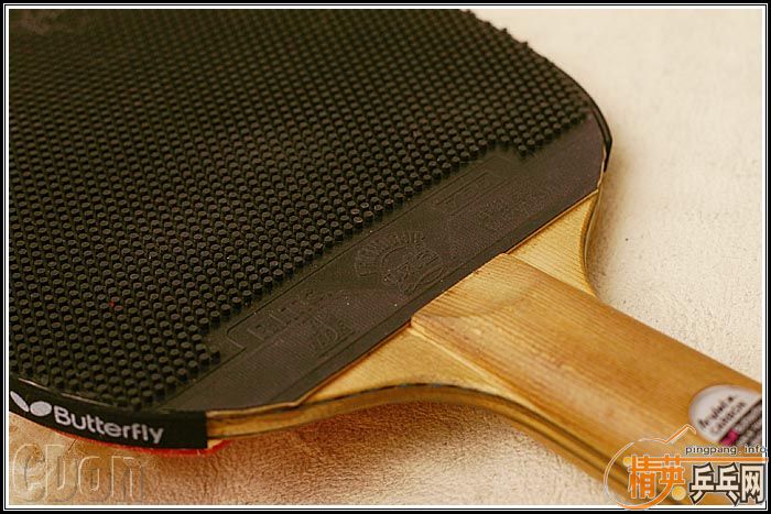 ����������SPEED