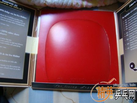 ���ң�+����10.5mm+sriver+JO gold+X-tend+�������ֱ�׽�(ͼƬ����)