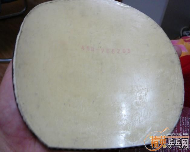 ��9.5���µ�F1��ɫ=110