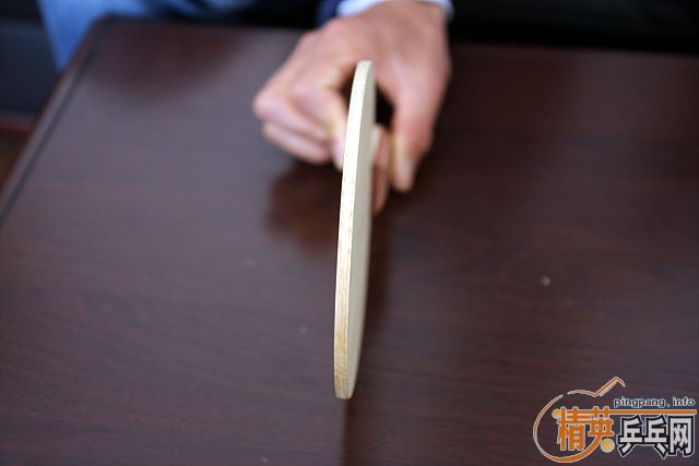 ����������R5����P500����ɫ���������ģ���TA�������Ʊ�����ֱ��),(355/530/220/240),��ɫ��ͼ��