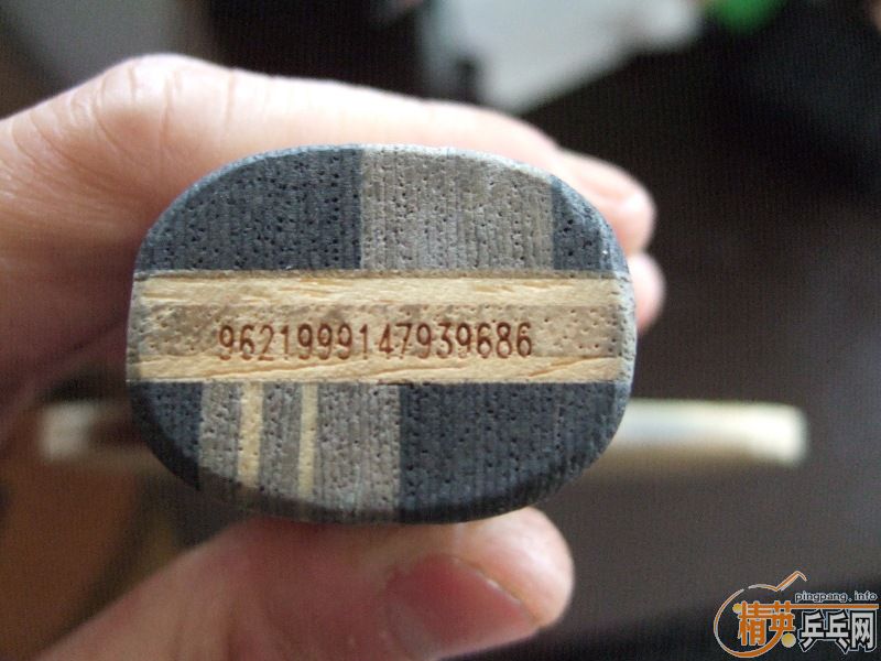 ��stiga-TO�Ͷ���˺�ɫ����