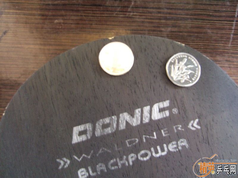 ��stiga-TO�Ͷ���˺�ɫ����