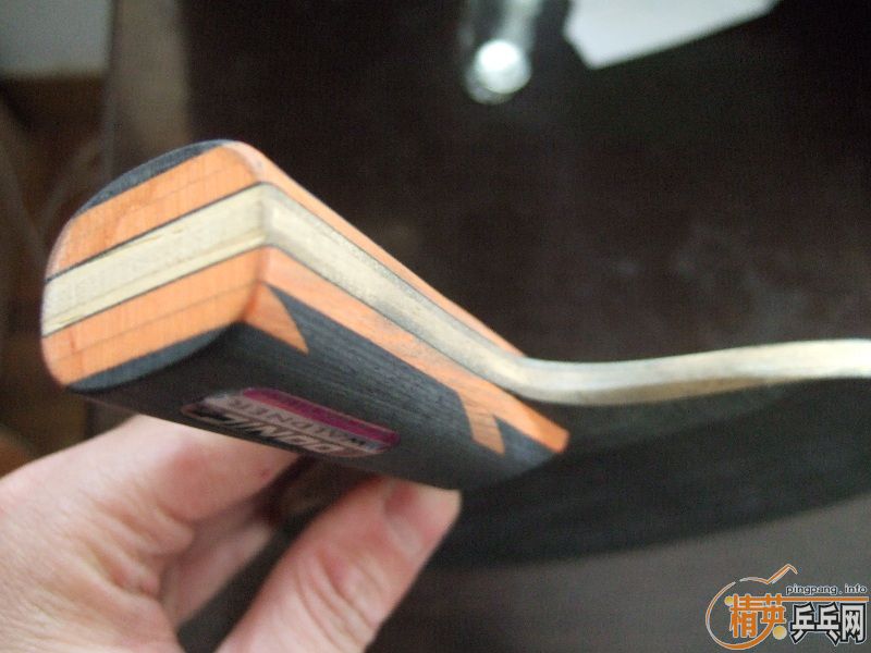 ��stiga-TO�Ͷ���˺�ɫ����