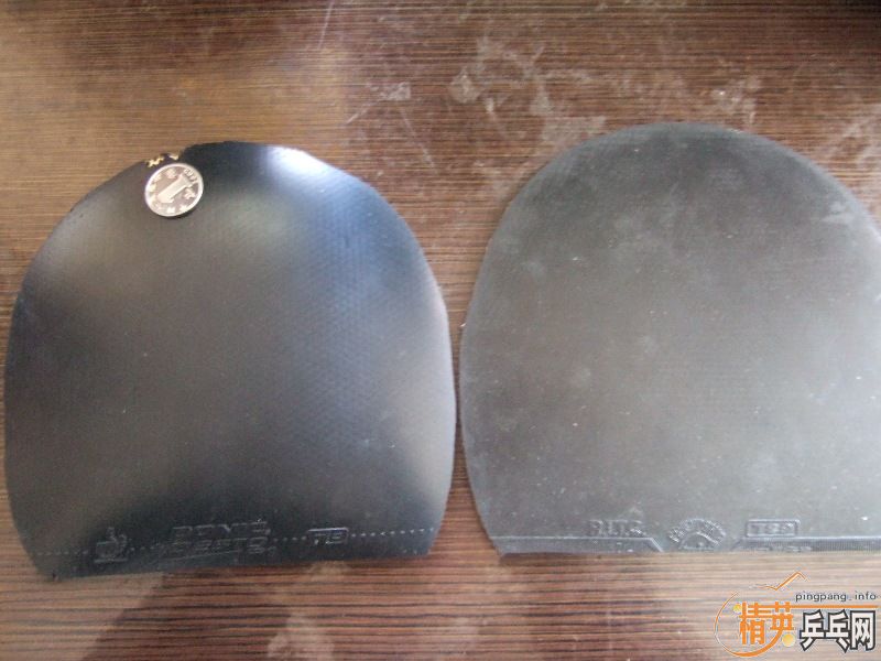 ��stiga-TO�Ͷ���˺�ɫ����