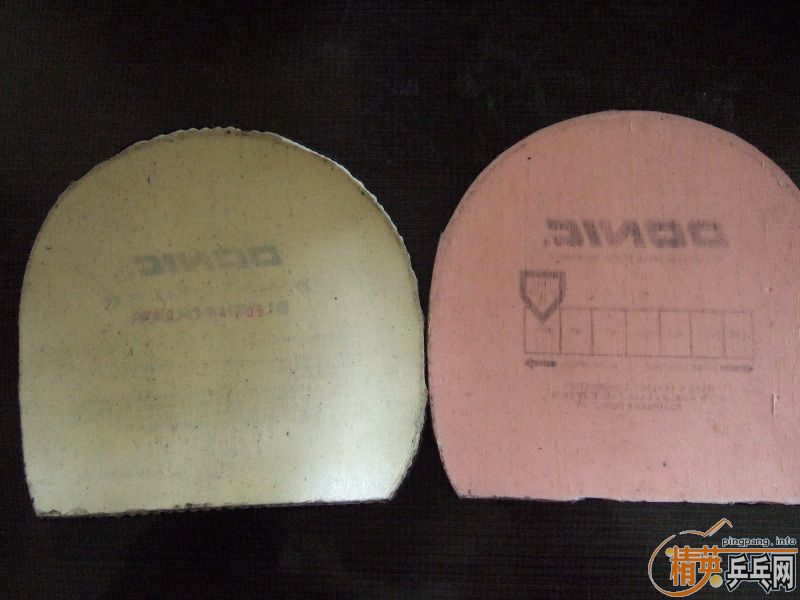 ��stiga-TO�Ͷ���˺�ɫ����