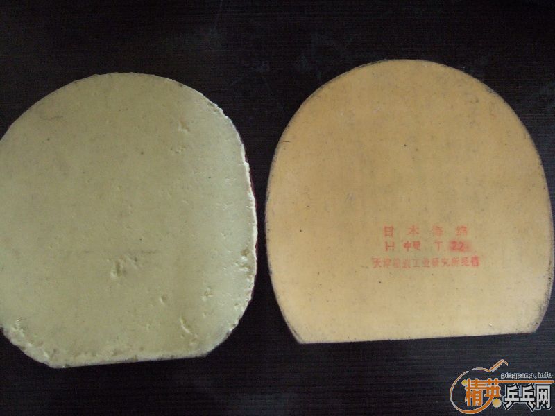 ��stiga-TO�Ͷ���˺�ɫ����