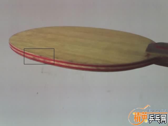 ���������˳���9.5�´�CL���ᣨ��֧������