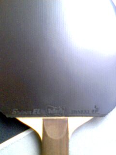 ������ɫ�����EL MAX