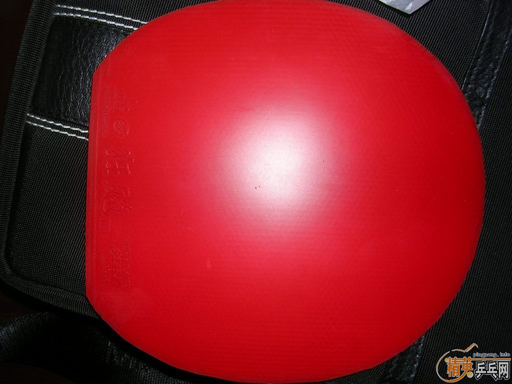 nittaku Runlox5 st��41 2.2 ʡ��3��tsp ����  ���460 �����