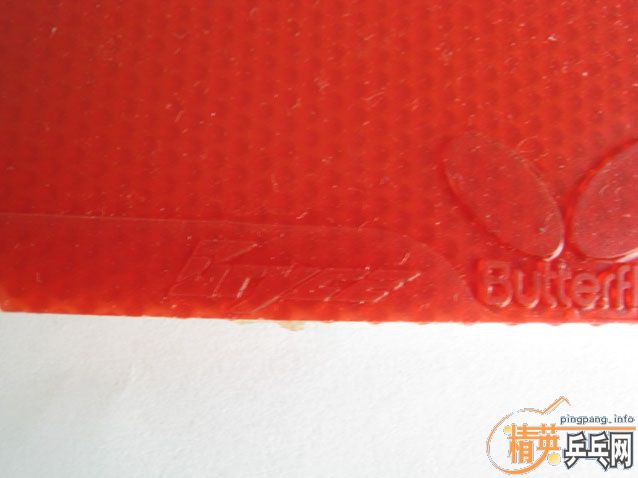 ��һ��9.5���º���(Butterfly)BRYCE�������