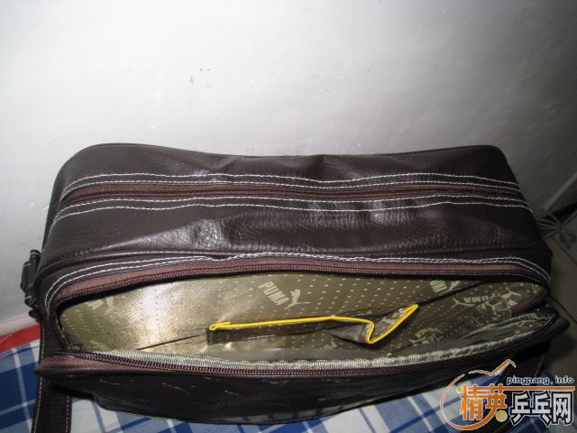 ���µ��������Ư������������