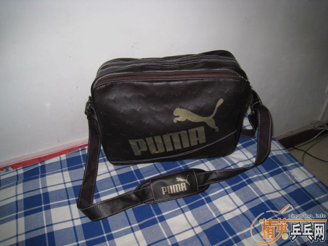 ���µ��������Ư������������