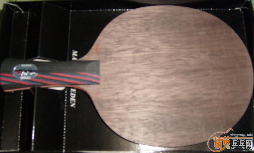 9.8���л����̼��