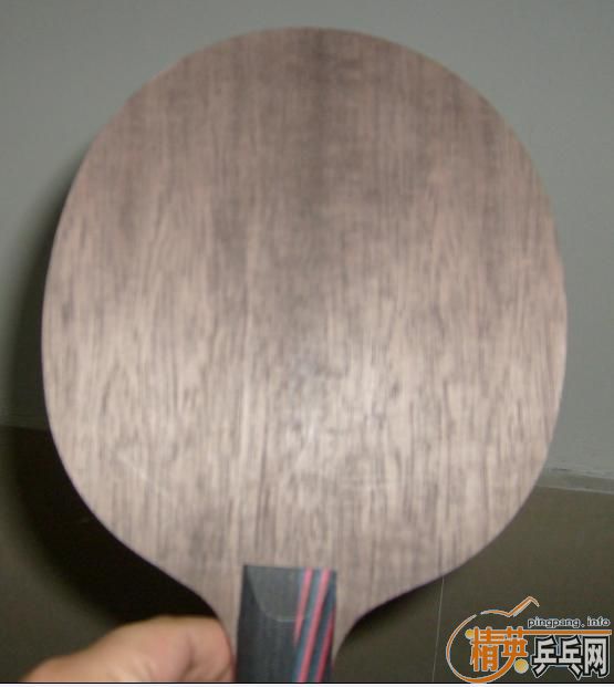 9.8���л����̼��