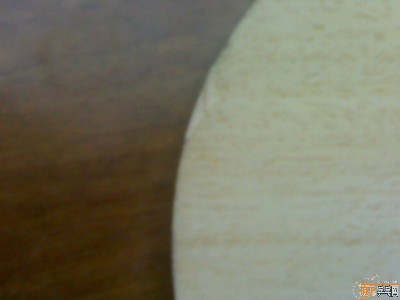 �����˳���������д�ľ