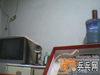 ��9.8��ֱ�����