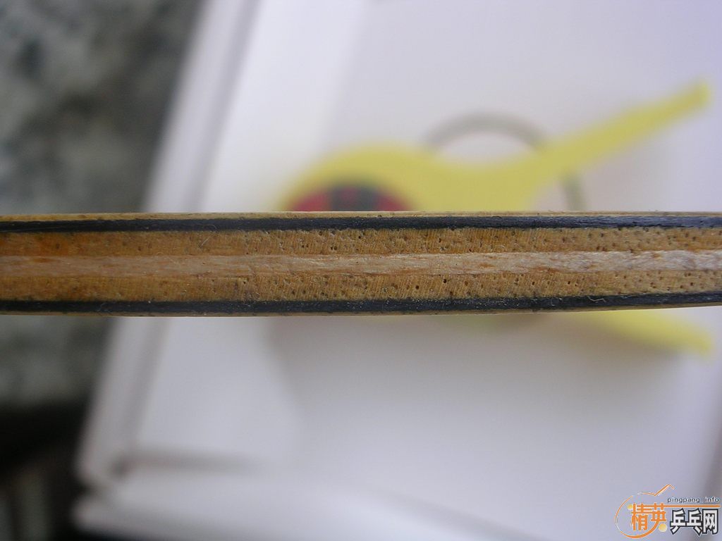 st donic ׯ־Ԩ̼��   290 Ԫ����ݡ�